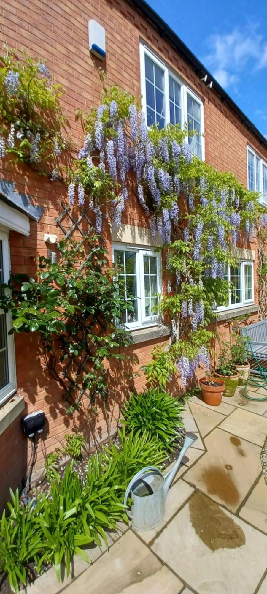Harlequin B&B Ledbury Ngoại thất bức ảnh